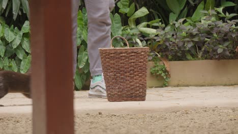 Una-Nutria-Limpiando-Basura-Durante-Un-Espectáculo-En-El-Zoológico-De-Bali.