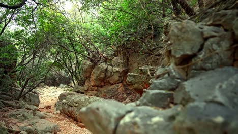 Un-Cañón-Rocoso-Con-Robles-En-El-Norte-De-Israel.