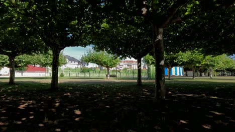 Sheltering-himself-warm-in-the-shade-of-the-coarse-trees-of-the-park-with-the-view-of-the-buildings-in-the-background,-hot-and-sunny-day,-he-shot-traveling-to-the-right