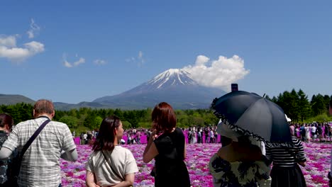 Crowds-of-people-enjoying-looking-at-Mount-Fuji-in-distance