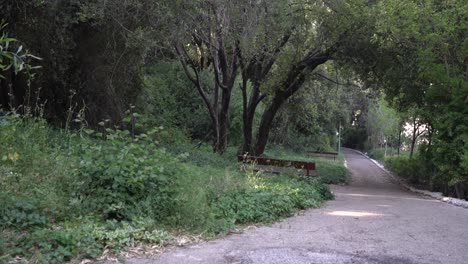 Jardín-Daniel-En-El-Barrio-De-Romema-En-La-Ciudad-De-Haifa,-Israel.