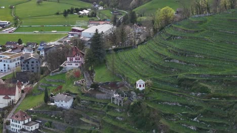 Viñedos-En-Terrazas-Y-Una-Mezcla-De-Arquitectura-Moderna-Y-Tradicional-En-Weesen,-Suiza.