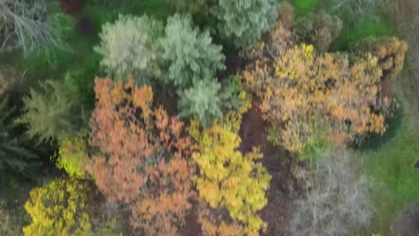 Drone-flying-within-the-Kecskemet-Arboretum,-Hungary