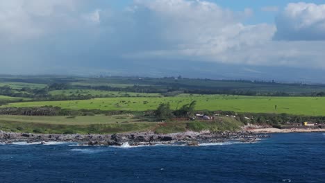 Coastline-view-of-Ho'okipa-surf-break-on-Maui's-north-shore,-lush-greenery-against-blue-waters