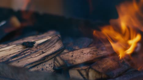 Cerca-De-Leña-Ardiendo-Con-Llamas-Y-Humo-Macro-Portátil