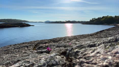 Escena-Pacífica-De-La-Costa-Sur-De-Noruega-Con-Un-Vídeo-En-Bucle-De-4k