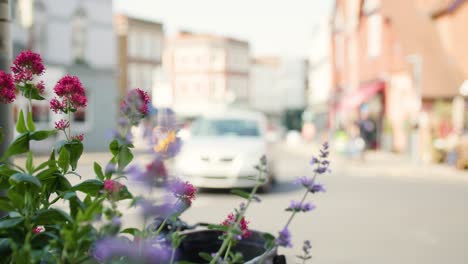 Zeitlupe-Von-Autos,-Die-Um-Einen-Kreisverkehr-Fahren,-Mit-Roten-Und-Violetten-Blumen-Im-Fokus-Im-Vordergrund