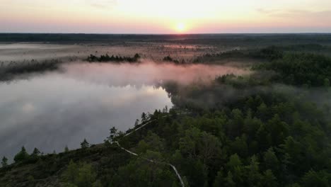 Luftaufnahmen-Ziehen-Sich-Vom-Sonnenaufgangsnebel-über-Dem-Sumpfigen-Estnischen-See-Paukjärv-Zurück