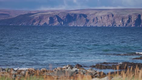 Las-Olas-Ruedan-En-La-Costa-Rocosa