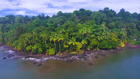 Una-Hermosa-Jungla-De-Palmeras-Que-Bordea-La-Costa-Rocosa-De-Una-Isla-Tropical-Cerca-De-Drake-Bay,-Costa-Rica