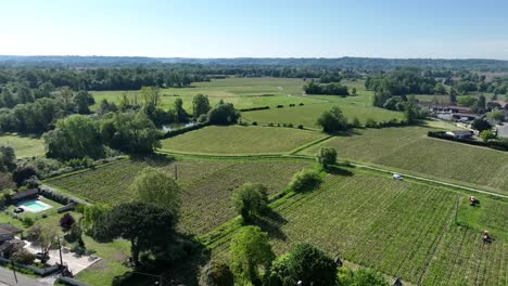 Weinberge-In-Der-Französischen-Stadt-Vignonet-östlich-Von-Bordeaux,-Frankreich,-Luftaufnahme-Von-Rechts