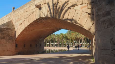 Profile-view-of-Puente-del-mar-from-the-Turia-Gardens-during-afternoon-in-Valencia,-Spain
