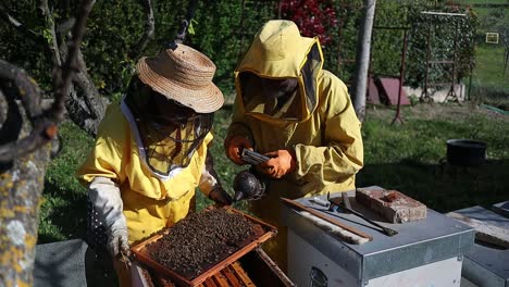 Ein-älteres-Imkerpaar-Räuchert-Die-Bienenstöcke-Aus,-Während-Es-Seine-Pflegeroutine-Durchführt,-Mittelitalien