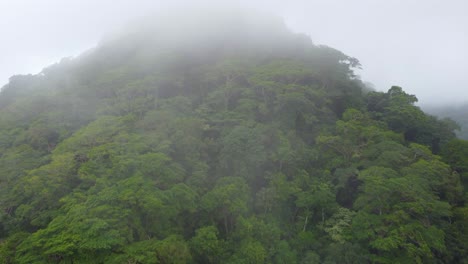 Drone-Aéreo-Sobre-Un-Dosel-De-árboles-En-La-Cima-De-Una-Colina-A-Través-De-La-Lluvia-Y-La-Niebla-En-Santa-Marta,-Colombia,-Sudamérica