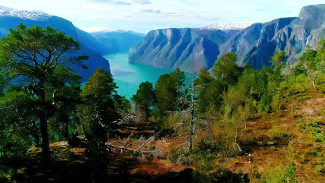 Drone-shot-over-a-woman-in-solitude-exploring-Norway's-remote-forests