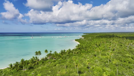 Frente-A-La-Playa-Bordeada-De-Palmeras-De-La-Isla-Saona-En-El-Parque-Nacional-Del-Este-En-La-República-Dominicana