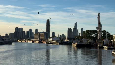 Panorama-Der-Stadt-Buenos-Aires-Vom-Blick-Auf-Den-Fluss-Und-Den-Hafen-Mit-Darüber-Fliegenden-Vögeln