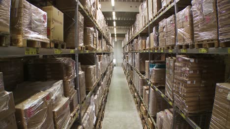 Warehouse-interior-showing-long-rows-of-shelves-packed-with-palletized-goods,-tilting-downward-for-full-aisle-view