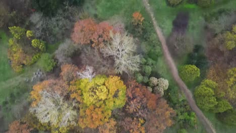 Arboretum-located-in-Kecskemet,-Hungary.-Aerial-views