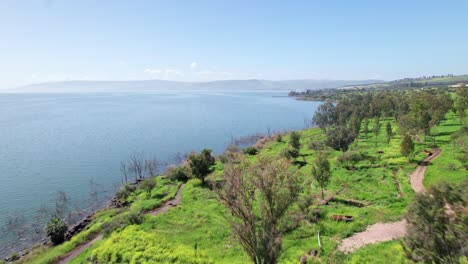 Drone-shot-of-the-Sea-of-Galilee-shoreline