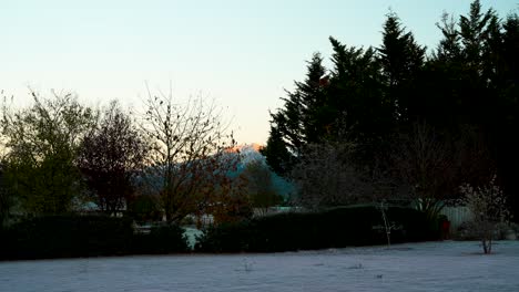 Un-Hermoso-Amanecer-Sobre-El-Parque-Forestal-Hanmer-Y-La-Cima-De-La-Colina-Miromiro-En-Nueva-Zelanda