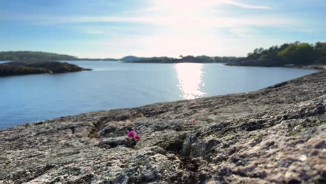 Peaceful-scene-from-the-southern-coast-of-Norway-with-a-4K-looping-video