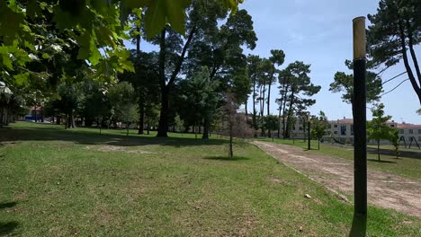 Large,-well-kept-landscaped-park-with-lawn-and-trees-behind-the-buildings-of-the-residential-area-of-the-city,-bright-sunny-day,-descriptive-shot