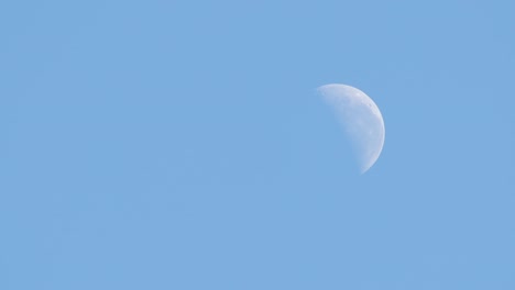 Half-Moon-Visible-In-Daytime-Blue-Clear-Sky-Australia,-Victoria,-Gippsland,-Maffra-Medium-Shot