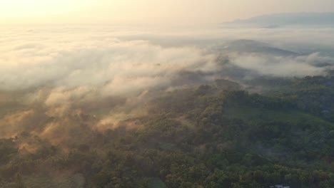 Aerial-view-of-foggy-morning-of-tropical-rainforest-that-shrouded-by-mist