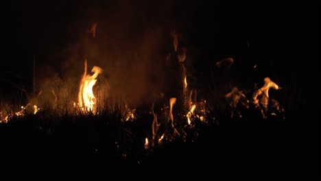 Incendio-Forestal-En-La-Noche