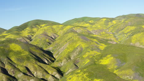 Drone-view-captures-green-mountains-of-Carrizo-Plains-Foothills,-California-shows-clear-blue-sky-and-greenery.