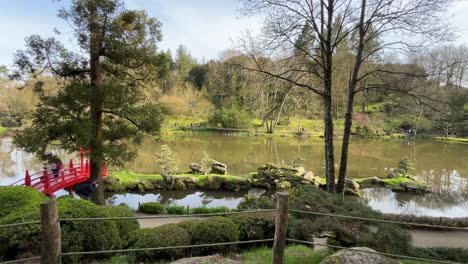 Panorámica-A-Través-De-Un-Lago-En-Un-Jardín-Oriental-Con-Arbustos-Y-árboles-Y-Un-Puente-Rojo