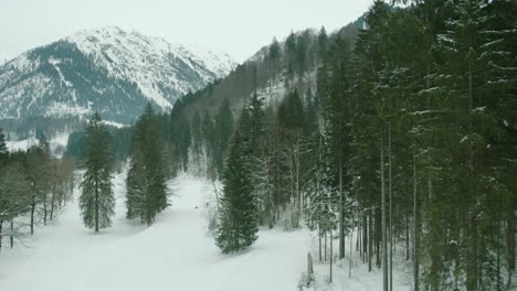 Paisaje-Montañoso-Cubierto-De-Nieve-Con-Pinos-Y-Un-Sendero-Claro,-Que-Evoca-Una-Serena-Escena-Invernal