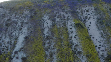 Un-Dron-Volador-Captura-Los-Pastizales-Del-Monumento-Nacional-Carrizo-Plain-En-California,-Muestra-Pequeñas-Montañas