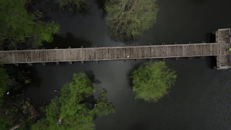 Reelfoot-lake-with-dense-green-foliage-surrounding-murky-waters-in-tennessee,-aerial-view,-aerial-view