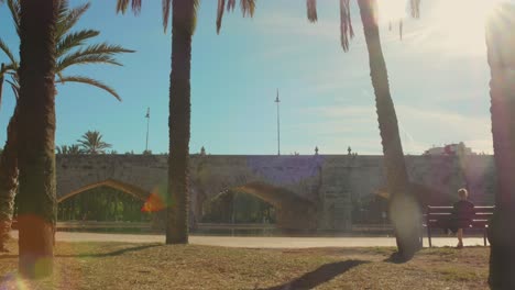 Foto-Del-Puente-Del-Mar-Desde-Los-Jardines-Del-Turia-En-Valencia,-España,-En-Un-Día-Soleado