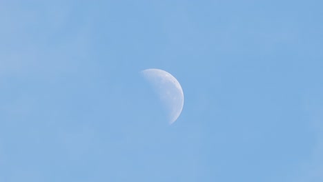 Half-Moon-Visible-During-Daytime-Blue-Sky-With-Clouds-Australia,-Victoria,-Gippsland,-Maffra-Medium-Shot