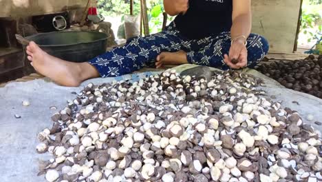 A-woman-breaks-nutmeg-seeds_slow-motion