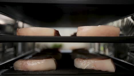 Raw-fish-fillets-cooking-slowly-in-an-industria-oven,-view-from-inside-the-appliance