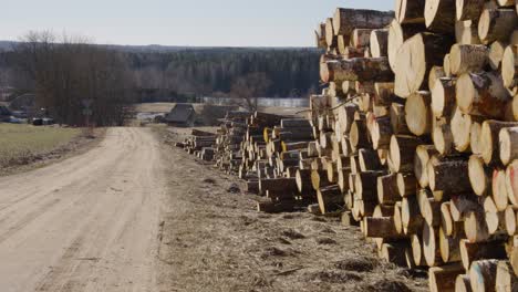 Dolly-Entlang-Feldweg-Neben-Stapel-Von-Geernteten-Holzstämmen-Mit-Sauberen-Schnitten