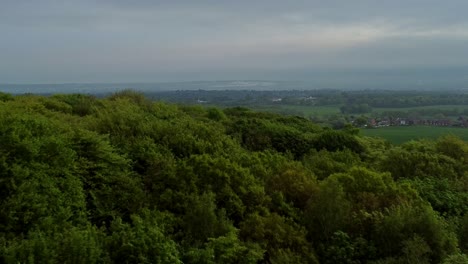 Woodland-treetop-canopy-aerial-view-establishing-Lancashire-countryside-and-Winter-hill-mountain-range