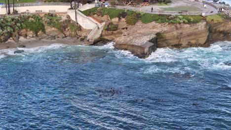 La-Jolla-Cove-Drone-Flyover-Park-Peninsula-With-Sea-Lions-seals,-walkers-and-Bridge-Club-Building