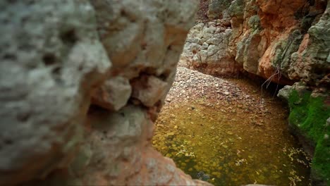 Feststeckende-Aufnahme-Einer-Natürlichen-Wasserquelle-In-Einer-Schlucht-Im-Norden-Israels