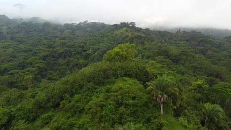 Luftaufnahme-Des-Dichten-Tropischen-Regenwaldes-In-Santa-Marta-In-Kolumbien