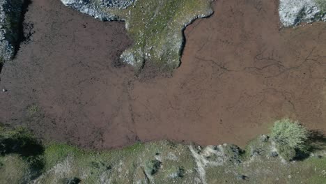 rising-flight-with-a-drone-with-a-top-down-view-over-an-area-of-water-completely-covered-with-a-type-of-red-algae-creating-a-beautiful-texture-with-a-white-and-green-border-in-Avila-Spain