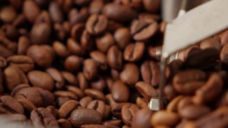 Roasted-Coffee-Beans-Spinning-In-Roaster-Machine-Tray,-Extreme-Close-Up