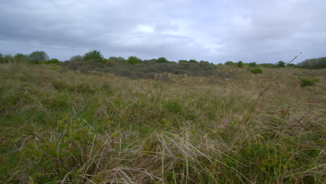 Schwenkweite-Aufnahme-Von-Theddlethorpe,-Dünen,-Nationales-Naturschutzgebiet-Bei-Saltfleetby