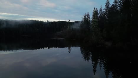 Luftaufnahme-Eines-Abgeschiedenen,-Malerischen-Sees-Und-Nebliger-Bäume-Bei-Sonnenaufgang