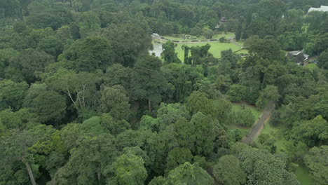 Fly-Over-Bogor-Botanical-Gardens-And-Jungle-Early-Evening-Indonesia