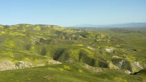 Aerial-view-of-California's-Grassland-Carrizo-Plains-in-California-captures-greenery-on-sunny-day-and-clear-blue-sky